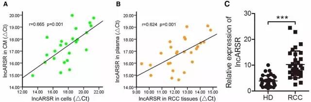 文献数据分析图表详细教程,医学数据如何整理分析
