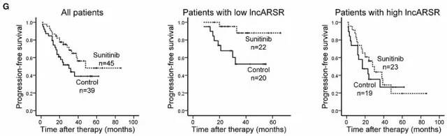 文献数据分析图表详细教程,医学数据如何整理分析