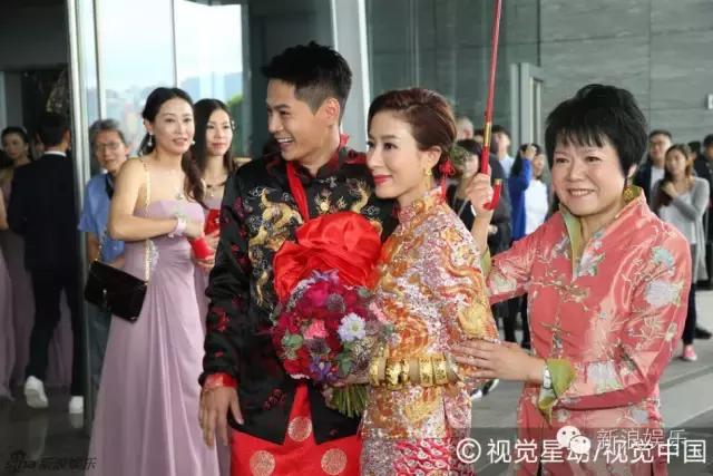 马浚伟杨怡金猪,杨怡金猪