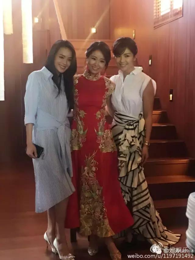 马浚伟杨怡金猪,杨怡金猪