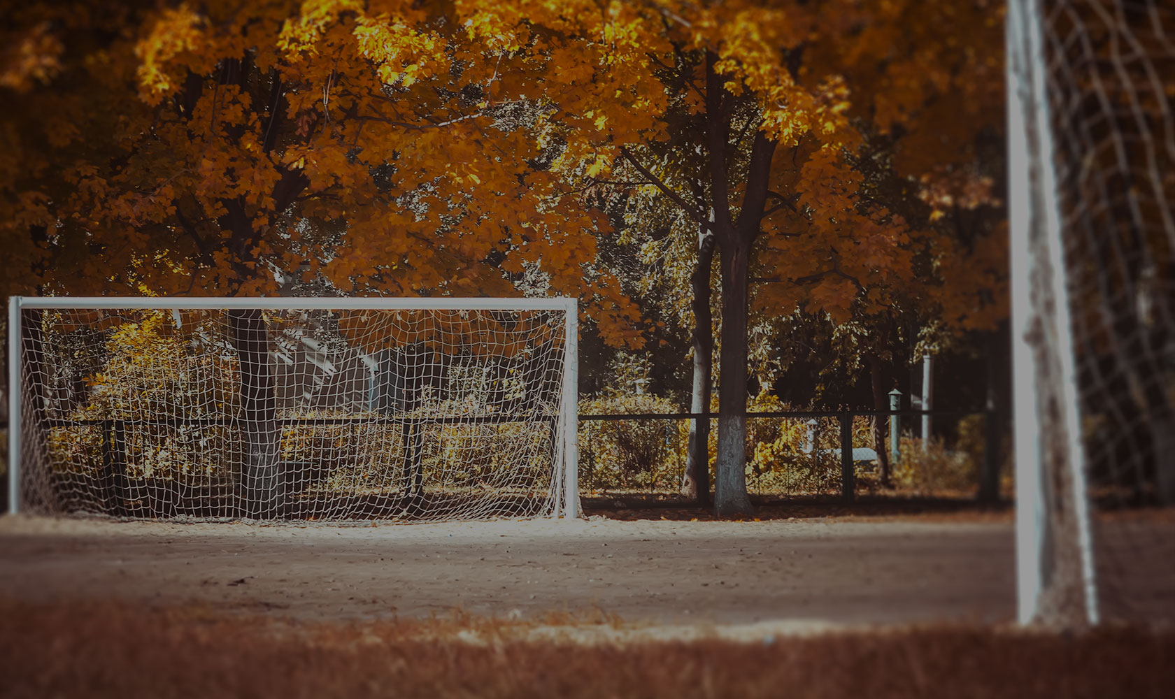 足球狗保暖吗,足球初学者的关注事项