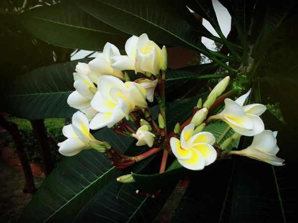 带着婚纱旅行攻略,带着婚纱去旅行拍照