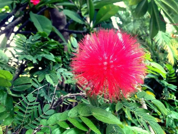 带着婚纱旅行攻略,带着婚纱去旅行拍照