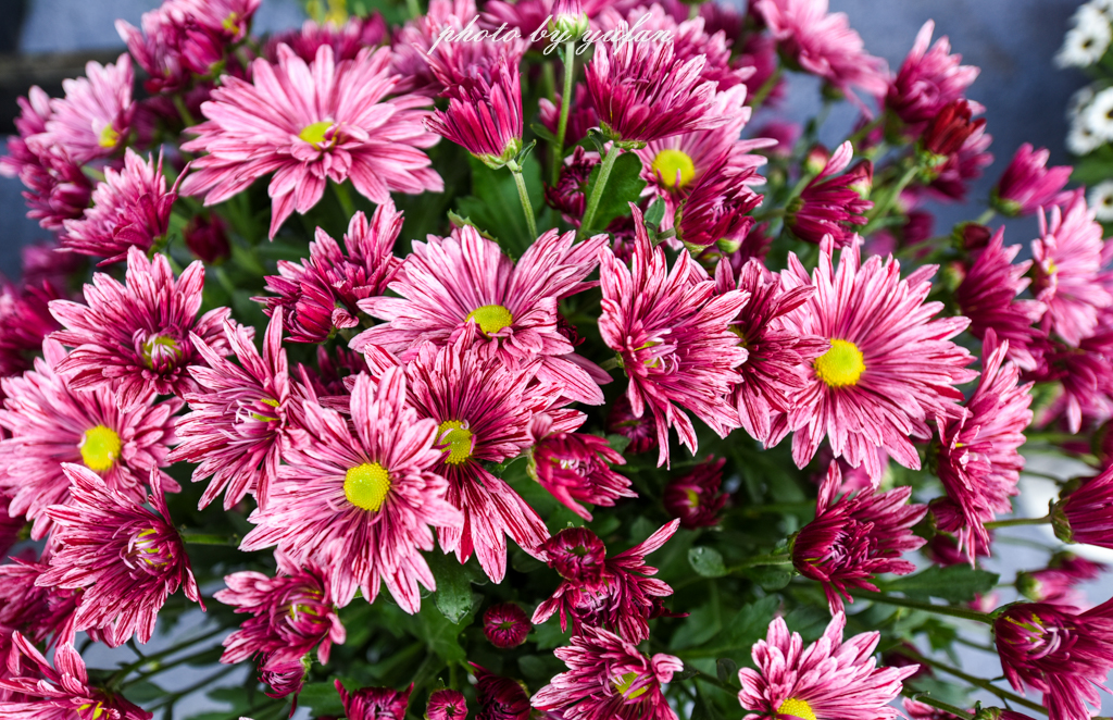 开封一日吃喝玩乐旅游攻略,开封周末游玩推荐