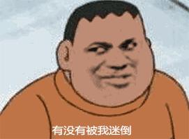 养一只荷兰猪需要花多少钱,养两只荷兰猪一个月需要多少钱