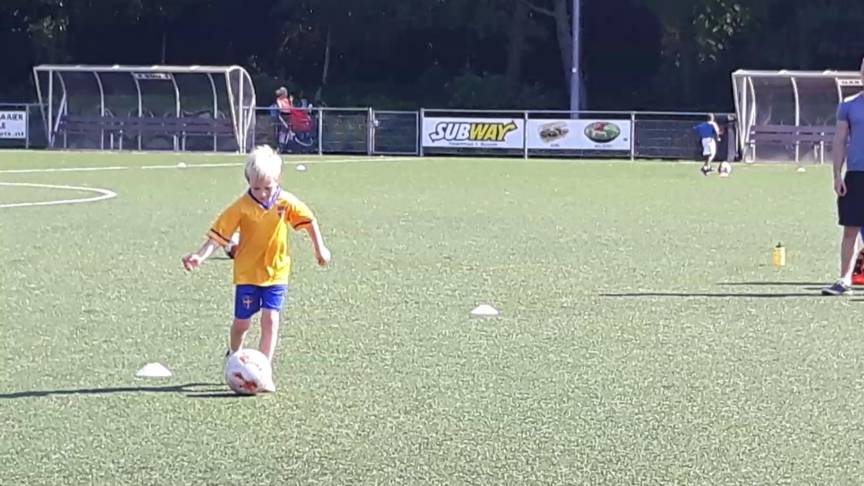 人造塑料草皮有毒吗,人造草坪毒性