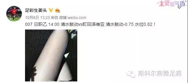 星月军团欧洲杯成绩,冰岛队2016年欧洲杯战绩