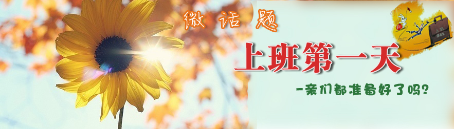 如何做到职场老猫,上班族在上班期间猫怎么处理