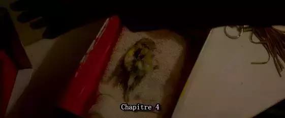 今年我最欣赏的一部片，送给每个不自由的你