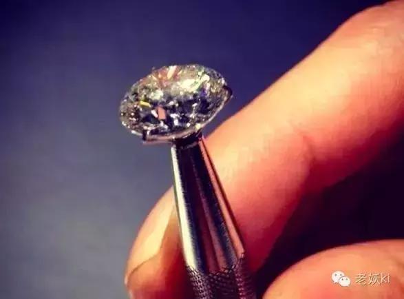 种草｜荷兰秋日伴手礼清单