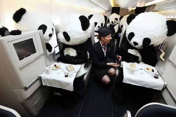 最酷的飞机涂装,各种各样的飞机涂装