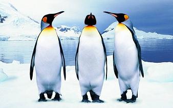 只有ai才能实现科技爆发,ai分析中国足球