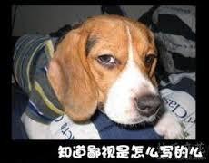 只有ai才能实现科技爆发,ai分析中国足球