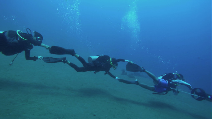 菲律宾潜水攻略 (菲律宾潜水游记)