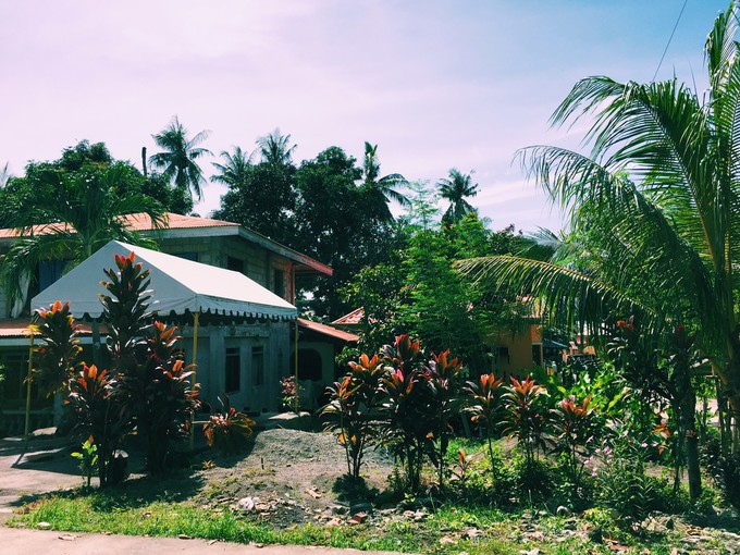 菲律宾潜水攻略 (菲律宾潜水游记)