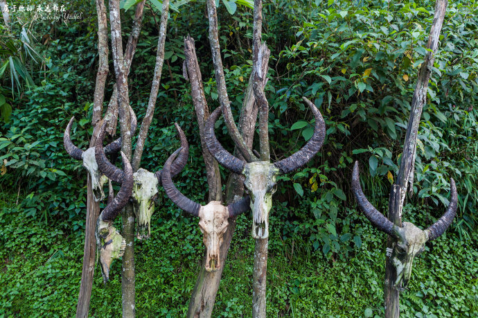 带着老婆去山上旅游,秘境之地在临沧