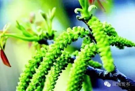 鑴辫传璺笂宸惧讣鑷村瘜鍏堥攱,鐢靛晢鎵惰传鍏堥攱