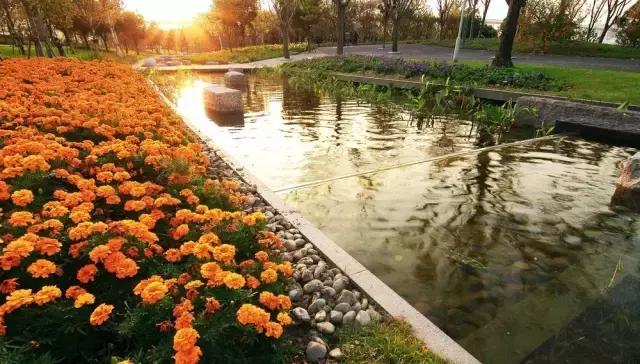 魔都旅游巴士,魔都游玩路线图