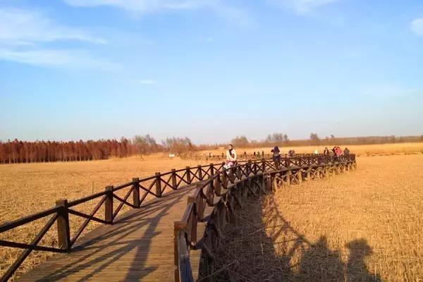 魔都旅游巴士,魔都游玩路线图