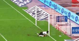 探营国足关键战球场,上港重回旧主场