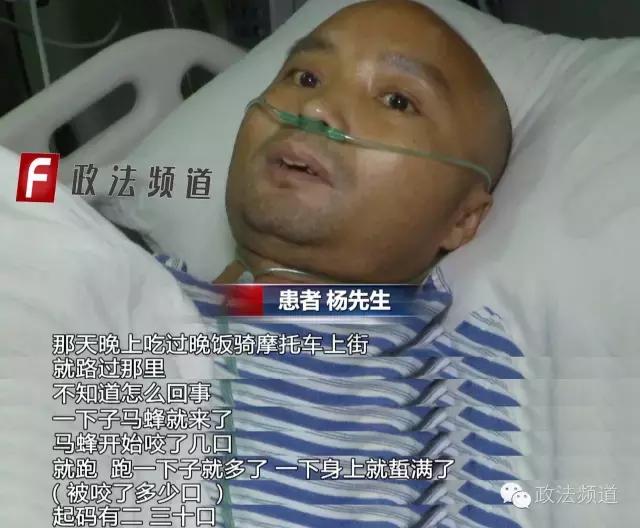 男子骑摩托被蜜蜂蜇,男子被马蜂蜇伤民警紧急救助