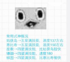 萤草抖音,莹草的最新视频