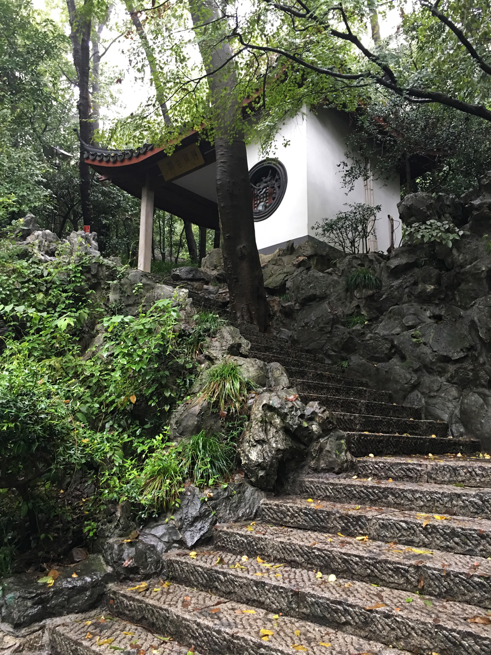 杭州赏桂花,杭州哪里赏桂花最好