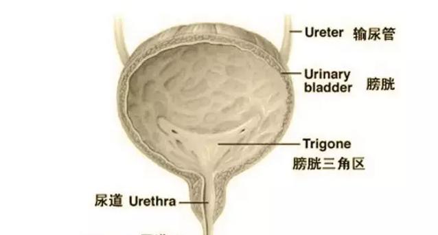 东直门爆炸事件,炸弹狂人原事件
