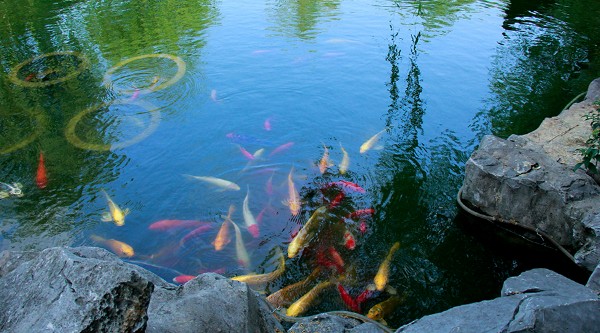 扬州比较推荐的住宿,扬州国庆路住宿推荐