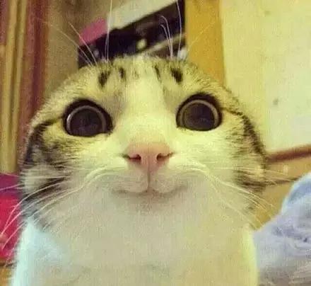 365天都吃不重样的武汉美食,武汉九月金秋美食