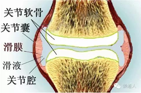 为了年老的爸爸妈妈，今晚我们再来聊聊骨刺