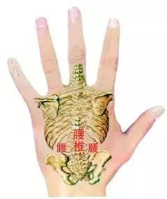 十一长假出行省钱攻略,过十一长假最轻松的攻略