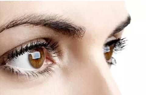 想要眼睛清澈明亮吃什么,想要眼睛又黑又亮吃什么好