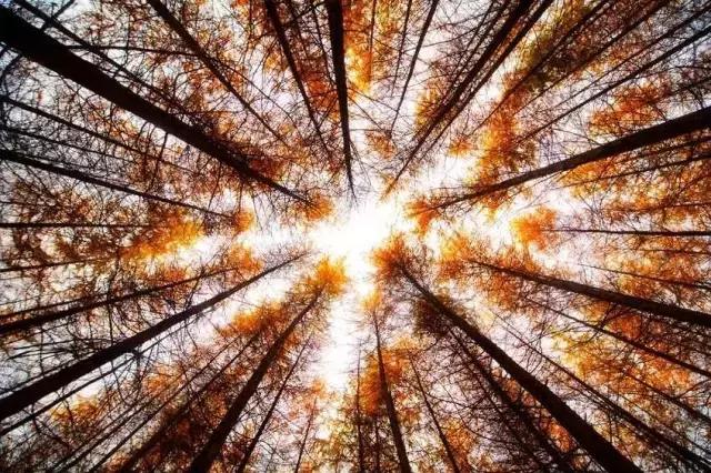 如果你来广元，我才不带你去剑门关嘞！