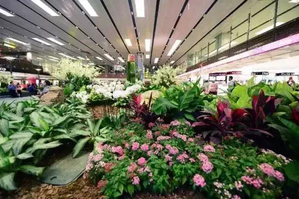 不可错过的5个目的地,新加坡免税机场多少钱