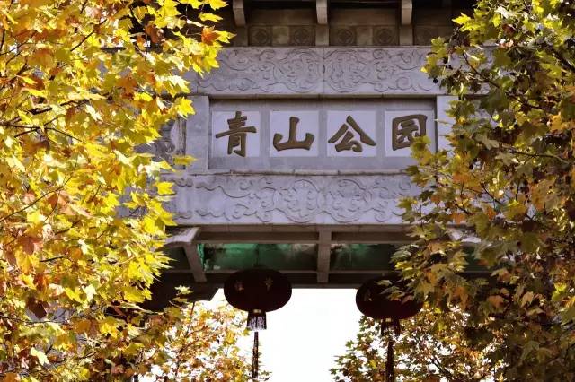 武汉十大漂亮女神,武汉最漂亮的十个女人