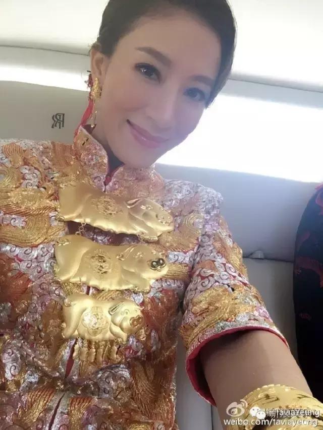 马浚伟杨怡金猪,杨怡金猪