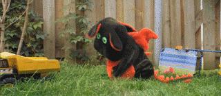 lol主播miss爆料,lol主播miss