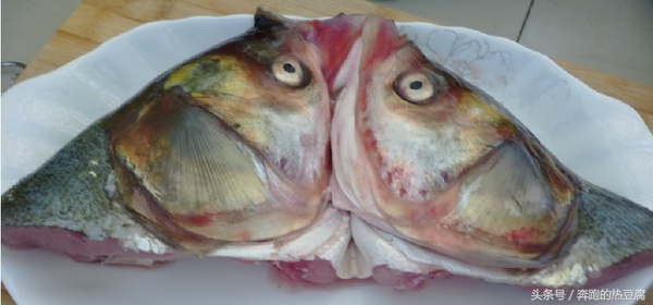 家常剁椒鱼头最简单的做法,双色剁椒鱼头最正宗的做法