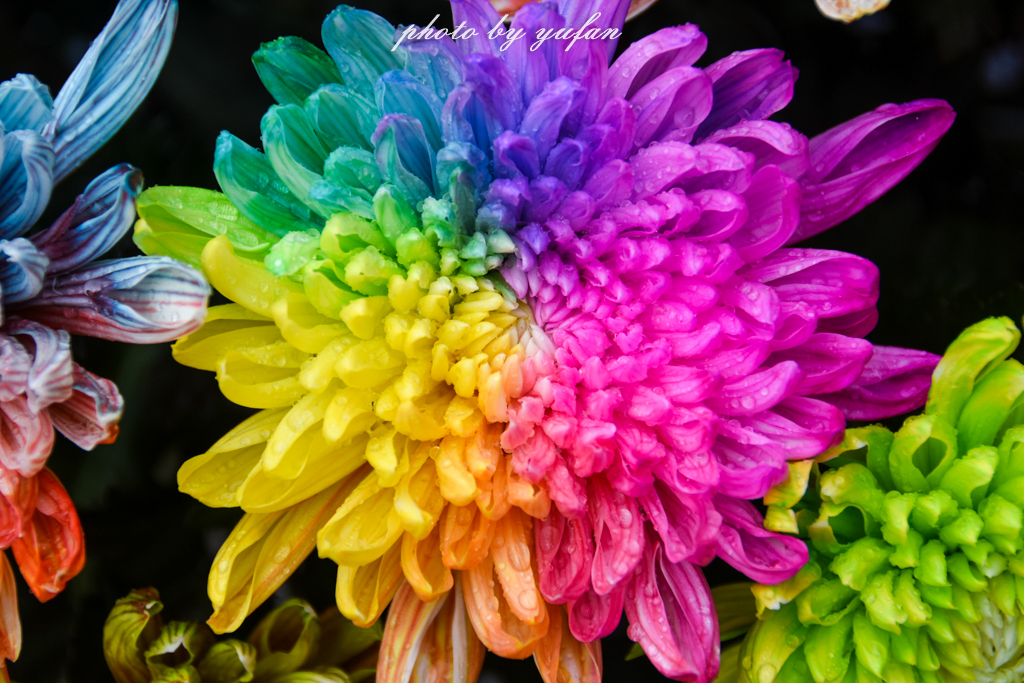 开封一日吃喝玩乐旅游攻略,开封周末游玩推荐