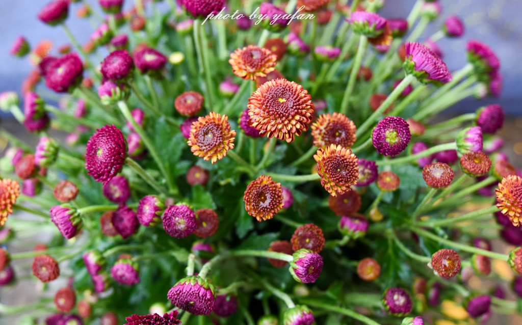 开封一日吃喝玩乐旅游攻略,开封周末游玩推荐