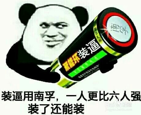 养一只荷兰猪需要花多少钱,养两只荷兰猪一个月需要多少钱