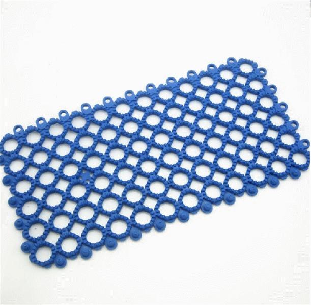 养一只荷兰猪需要花多少钱,养两只荷兰猪一个月需要多少钱