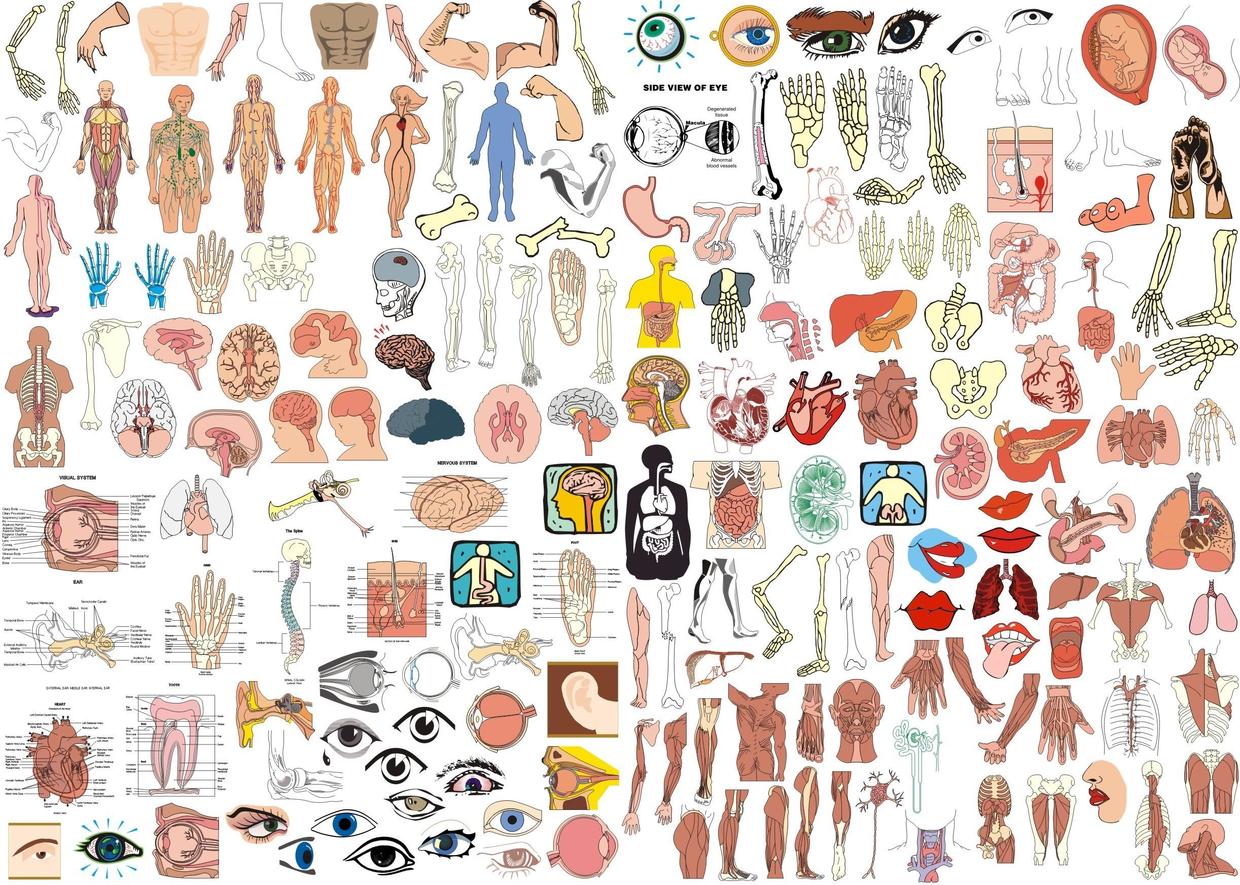 看看手术视频，震撼一把自己