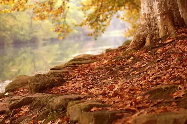 贵阳中秋节带家人一起去哪里玩,重阳节最好玩的地方