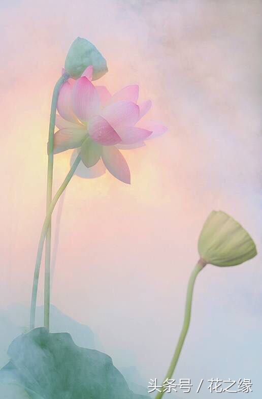 有心跳的生活，美景尽在眼下