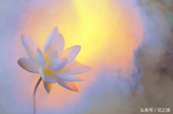 有心跳的生活，美景尽在眼下