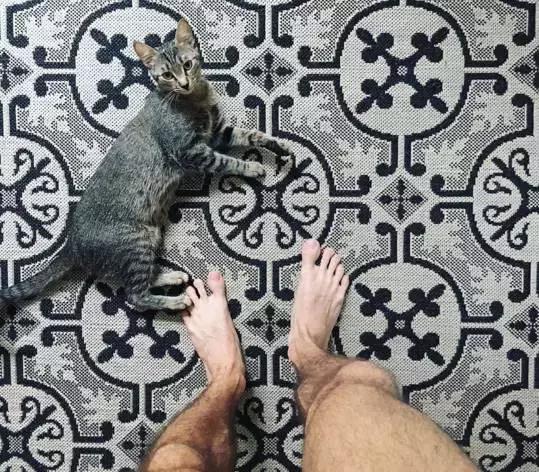 听说养猫的人很有福气吗,听说养猫的男生更容易脱单