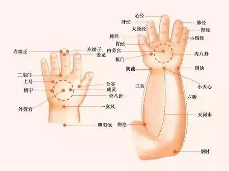 小儿推拿系列微课六,小儿推拿特辑