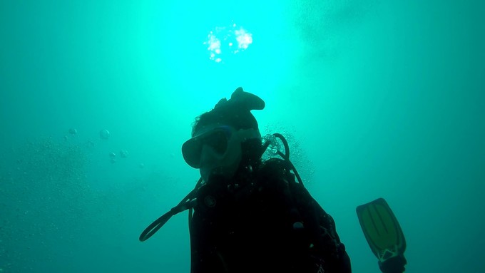 菲律宾潜水攻略 (菲律宾潜水游记)